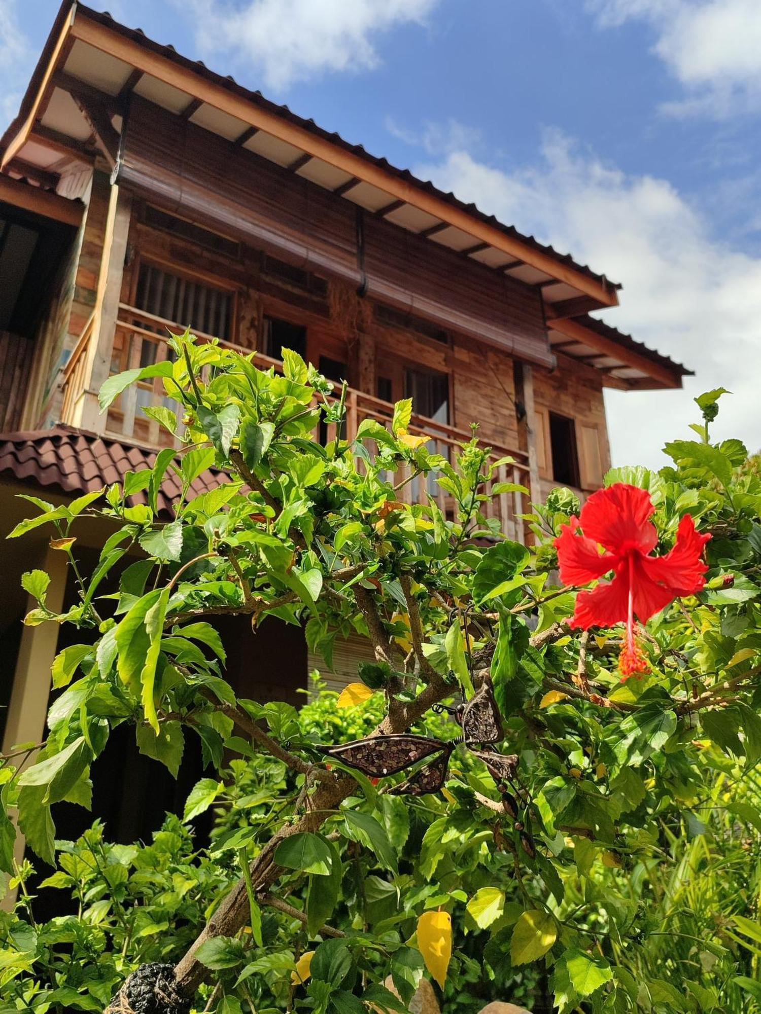 غيلي تراوانغان Little Elephant Cottage المظهر الخارجي الصورة